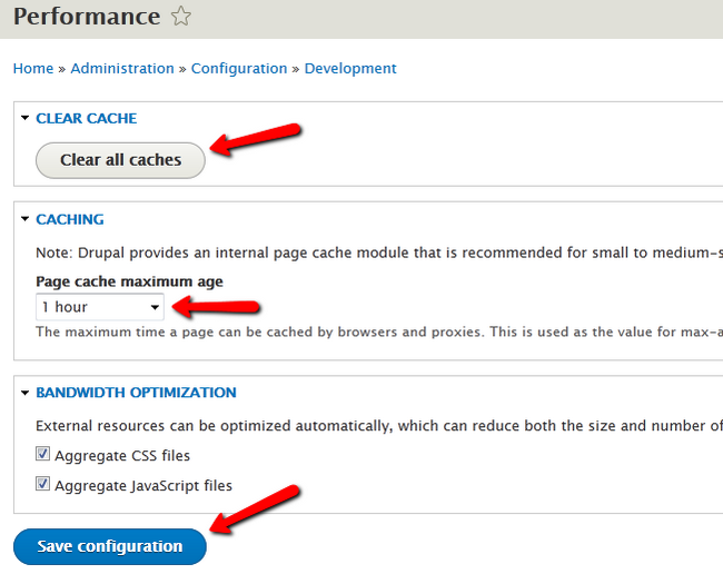 Managing the Caching options for Drupal 8