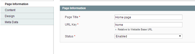 Magento Page Information