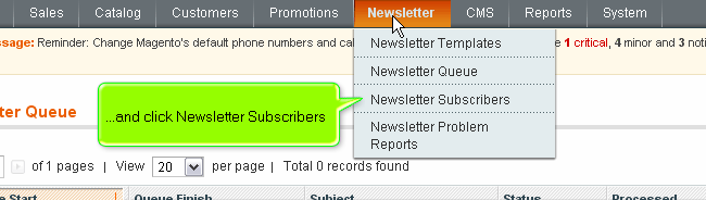 Magento newsletter subscribers