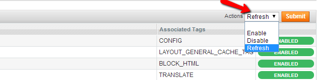 Magento Cache Action