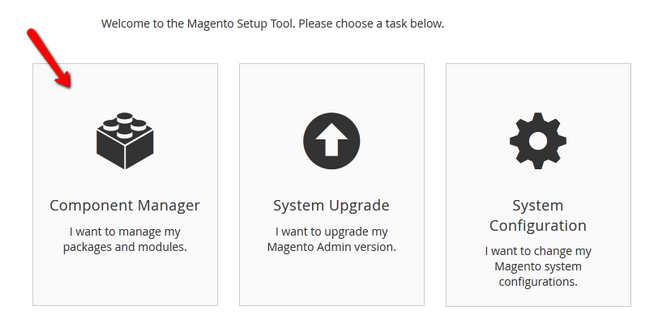 Accessing the Component Manager in Magento 2