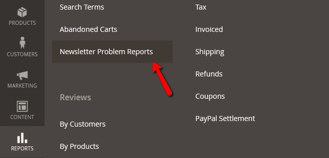 Accessing the Newsletter Problem Reports in Magento 2