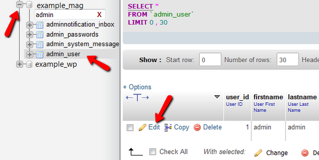 Editing the admin_user table in the Magento 2 Database