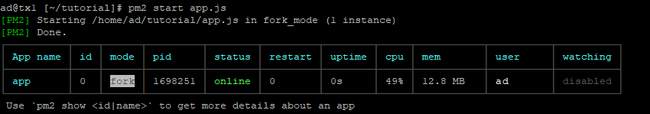 Starting a nodejs app with pm2