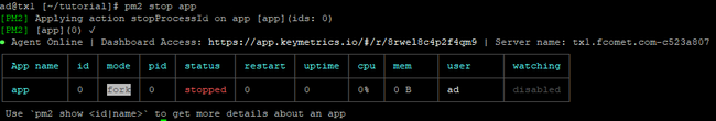 Stopping a nodejs application via pm2