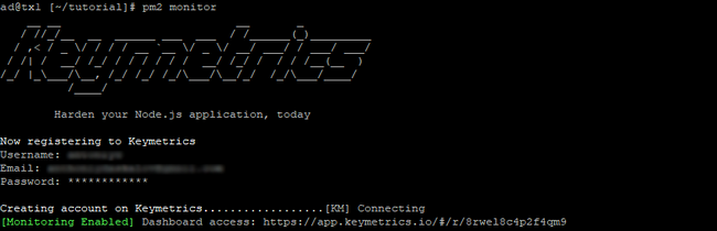 pm2 monitoring activation via keymetrics