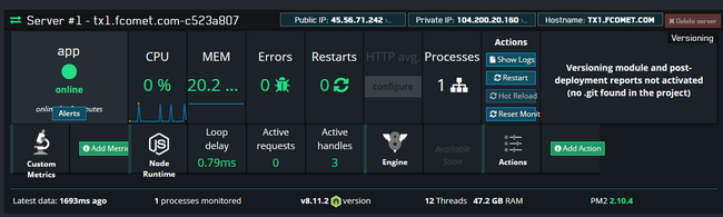 Monitoring nodejs projects via Keymetrics