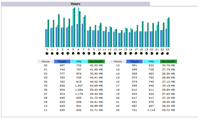 Awstats by hour report for your website