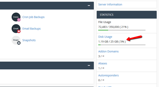 Checking the Disk Usage via cPanel