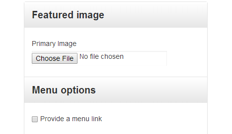 configuring-featured-image-and-menu-options