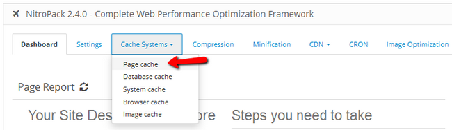 Accessing the Page Cache menu from the Cache Systems tab in NitroPack