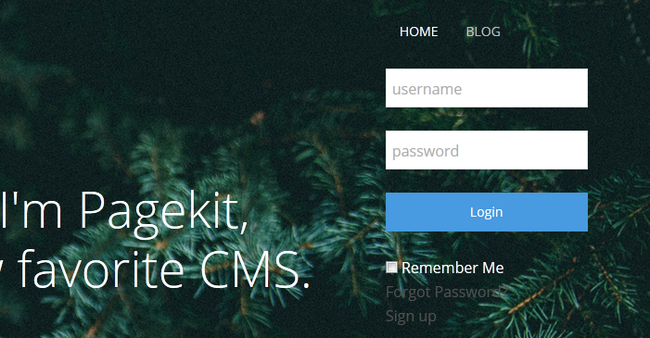 The newly added Login Form Widget fully operational