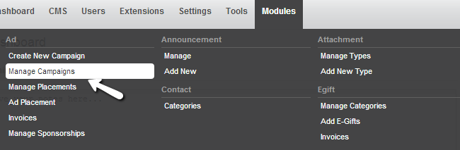 Access advertisement campaign manager in PHPFox