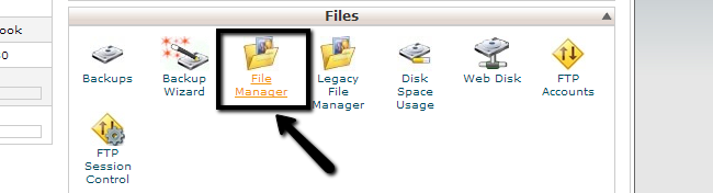 Access File Manager in cPanel