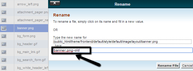 Rename a file using File Manager in cPanel