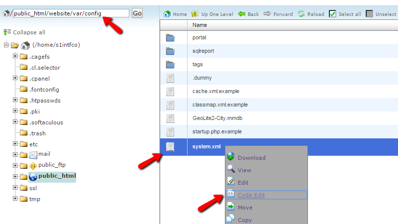 View Pimcore Config file