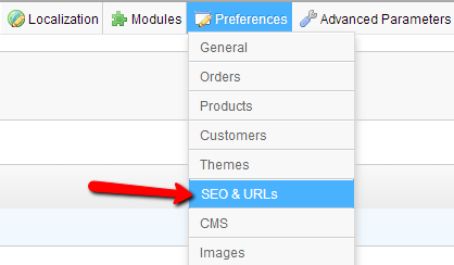 Preferences-SEO-URL