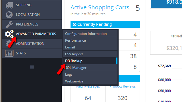 Accessing the DB backup page