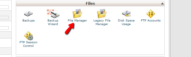 Accessing the cPanel File Manager