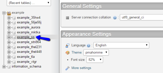 Access SilverStripe database in phpMyAdmin