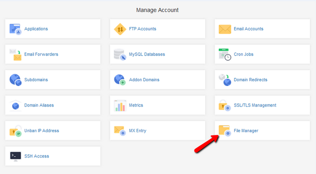 Accessing the File Manager Service