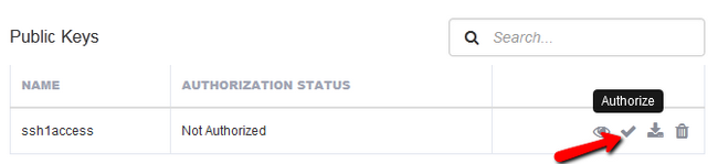 Authorizing a new SSH Key
