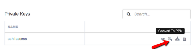 Choosing the Convert to PPK option for this key