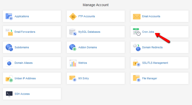 Accessing the Cron Jobs menu via your Client Area