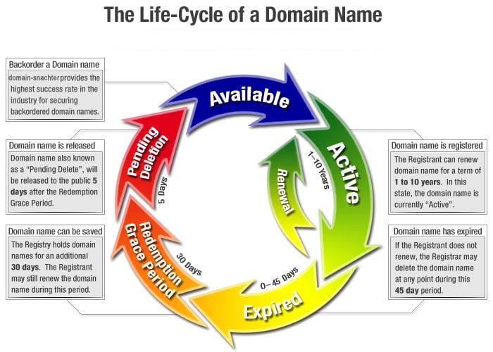 Understanding Domain Life Cycle