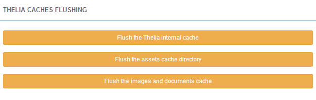 Flush Thelia cache