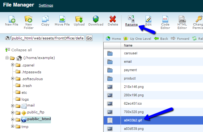 Rename a file using File Manager in cPanel