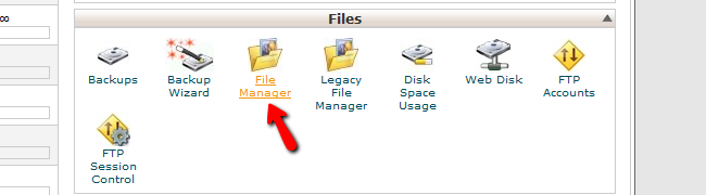 Access File Manager in cPanel