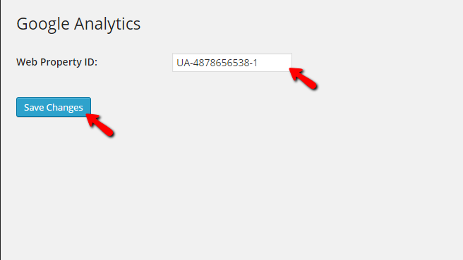 configuring the google analytics plugin