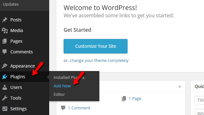 Accessing the Wordpress plugin page