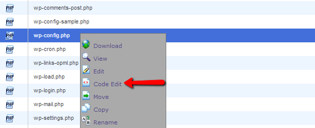 editing the wp-config.php file