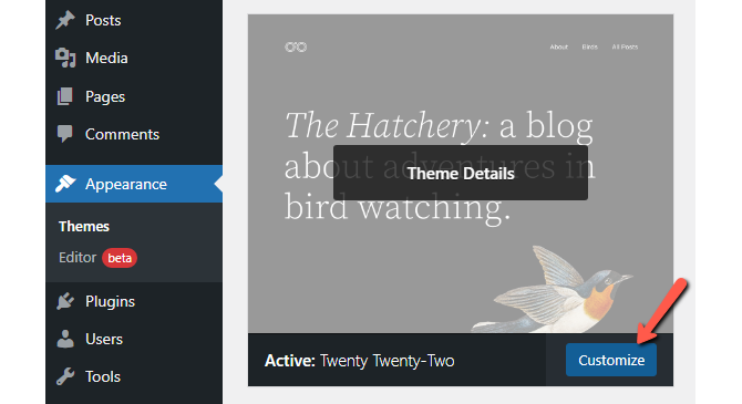 Use Customize Option in Twenty Twenty-two Theme