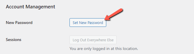 Set New Password