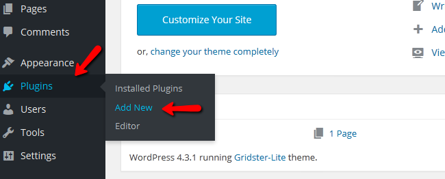 Accessing the WordPress Plugin Installer