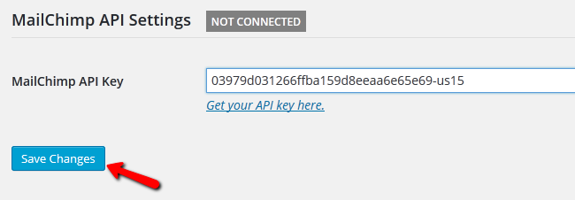 Pasting the API Key and Saving the Changes