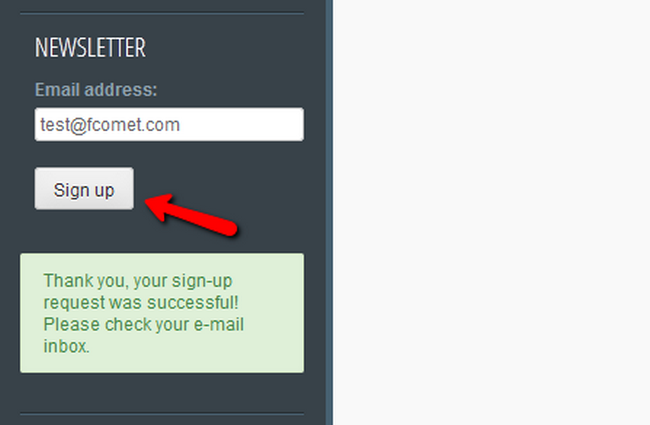 What a User will see when Signing up for your Newsletter
