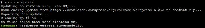 Update WordPress using WP-CLI