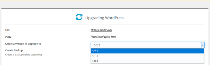 WordPress Version Update Choices in Softaculous