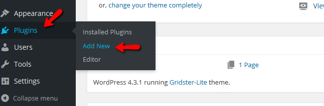 Accessing the Plugins Menu in WordPress