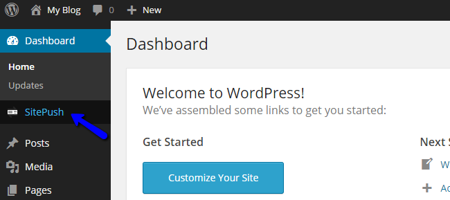 Access SitePush Staging in WordPress