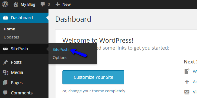 Access SitePush Staging in WordPress