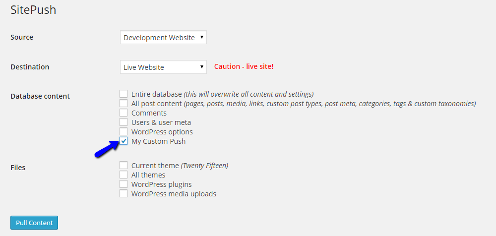 Review Custom Push Options with WordPress Staging