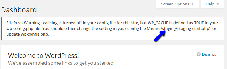 WordPress Staging Cache Warning